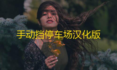 0.1QQ名片10000购买手动挡停车场汉化版